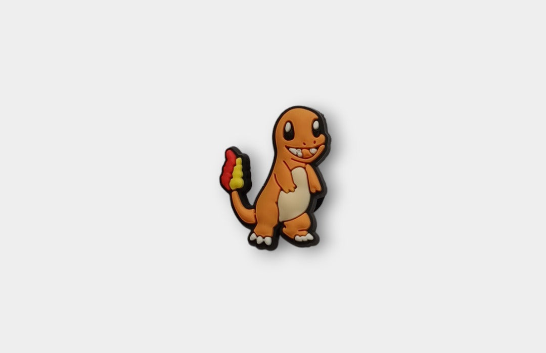 Pokemon Charms
